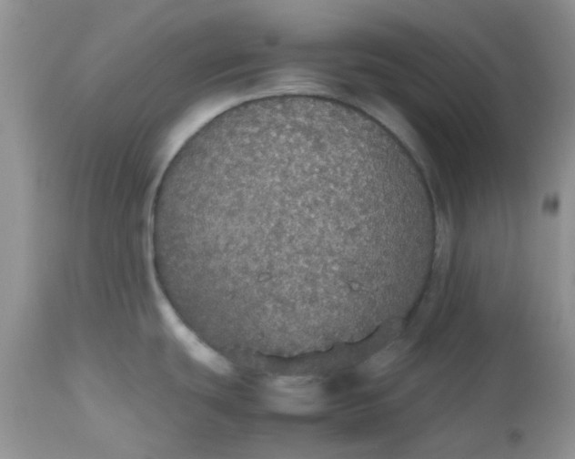 X0000112531439200908311412
