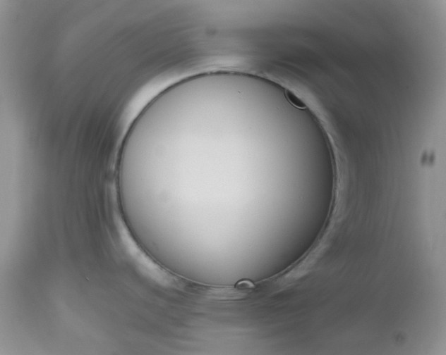 X0000112531440200908311412