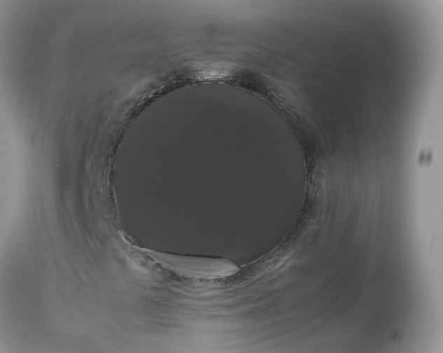 X0000112531441200908311411