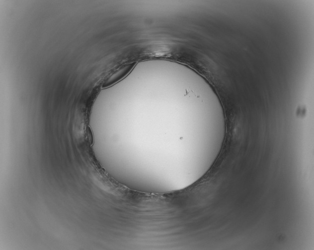 X0000112531442200908311411