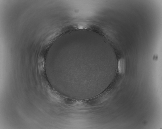 X0000112531443200908311411