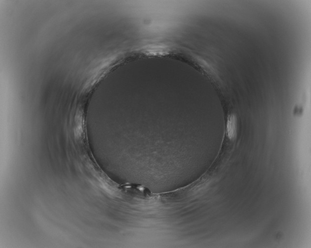 X0000112531444200908311411