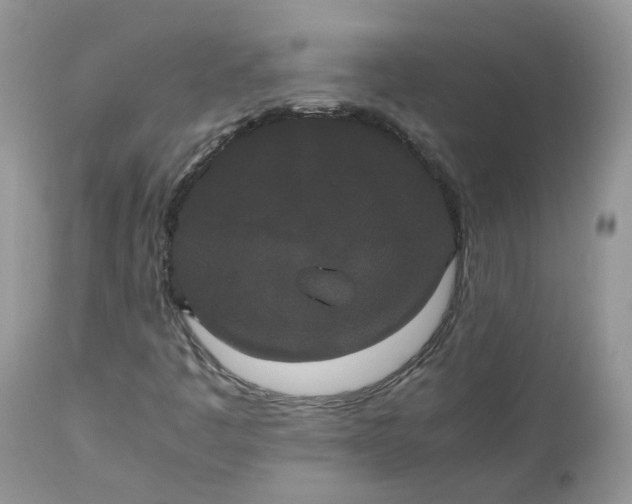 X0000112531445200908311411