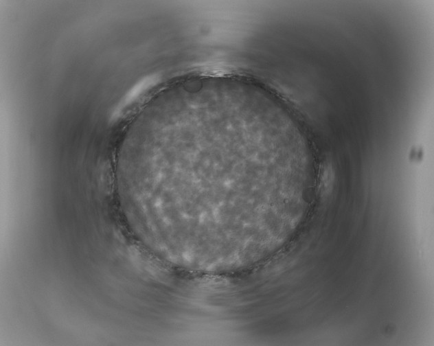 X0000112531446200908311411