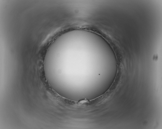 X0000112531447200908311411