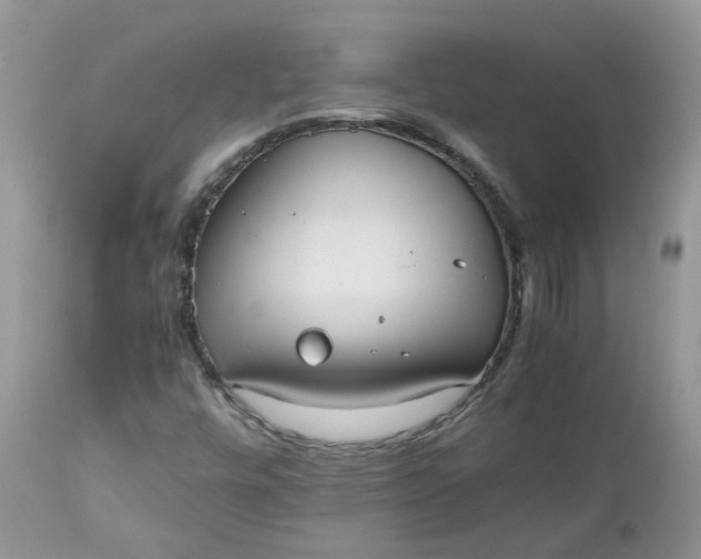X0000112531448200908311411