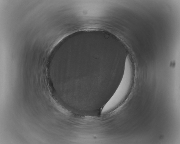 X0000112531449200908311411