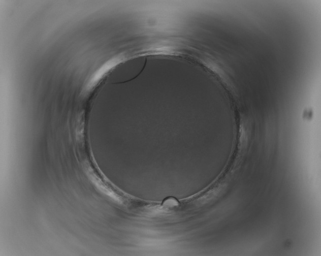 X0000112531450200908311411