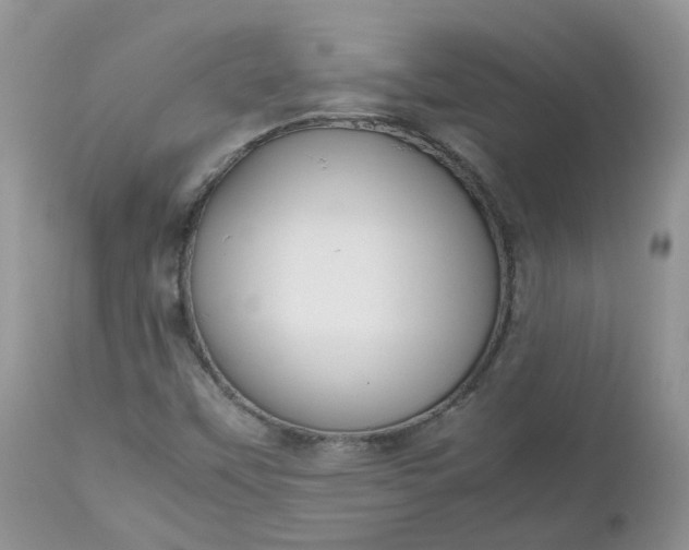 X0000112531451200908311411