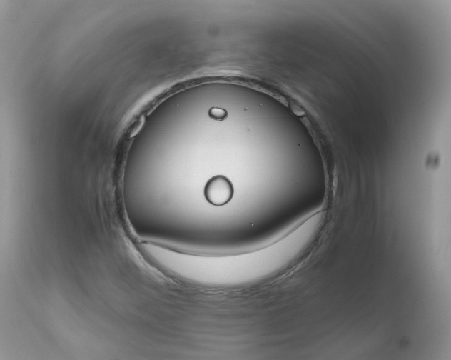 X0000112531452200908311411