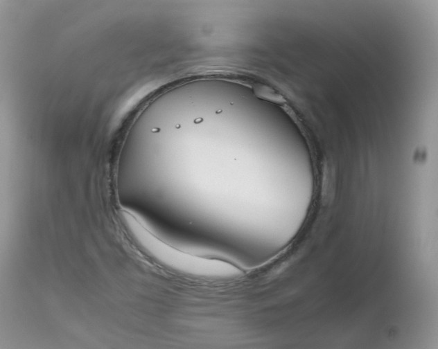 X0000112531453200908311411