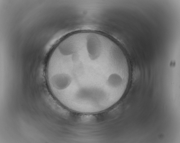 X0000112531454200908311411