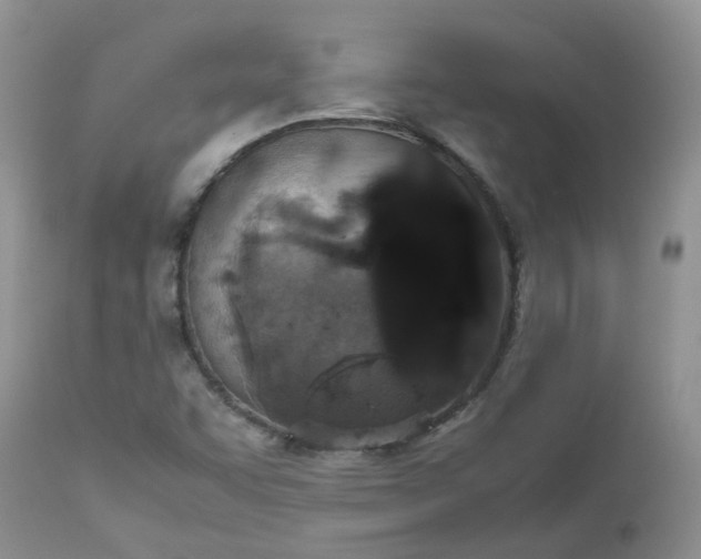 X0000112531455200908311411