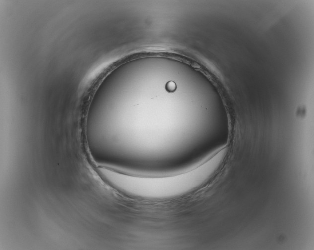X0000112531456200908311411