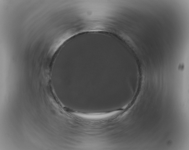 X0000112531457200908311411