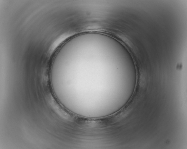 X0000112531458200908311411