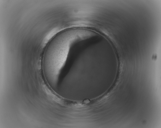 X0000112531459200908311411