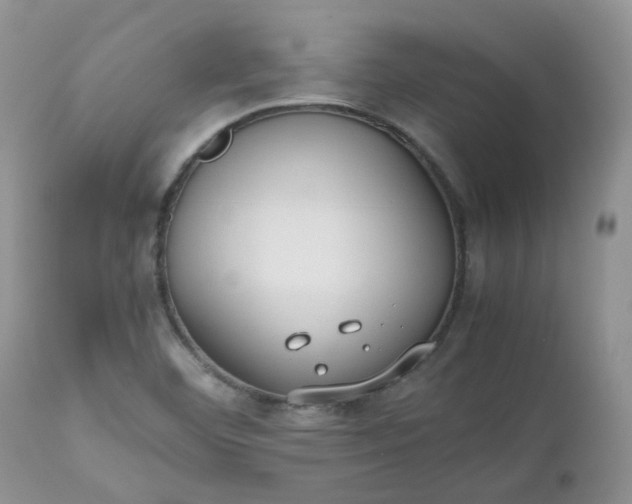 X0000112531460200908311411