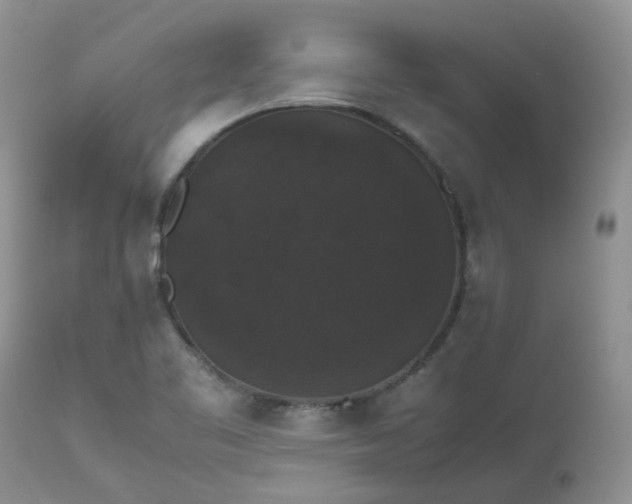 X0000112531461200908311411