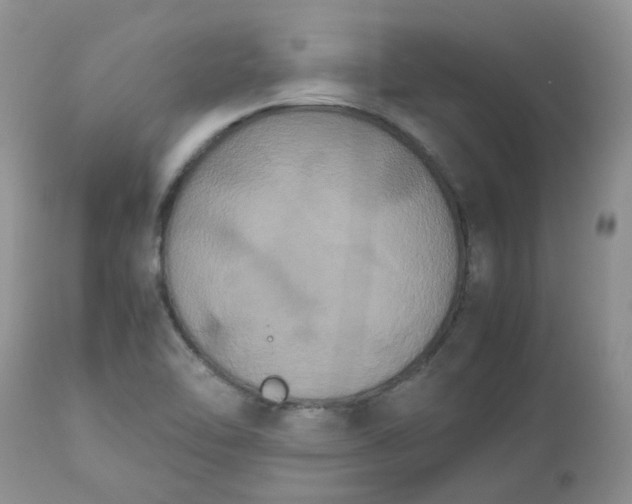 X0000112531462200908311411