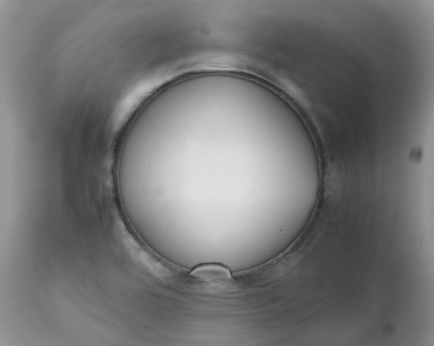 X0000112531464200908311411