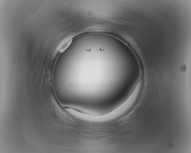 X0000112531465200908311411