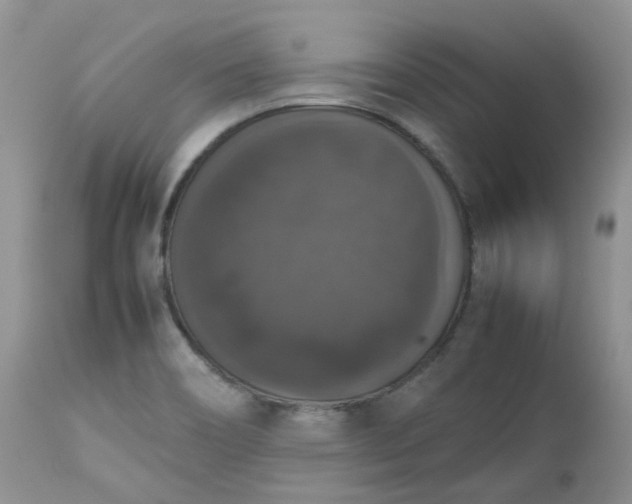 X0000112531466200908311411