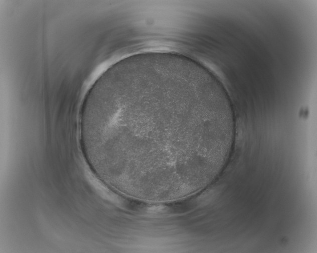 X0000112531467200908311411