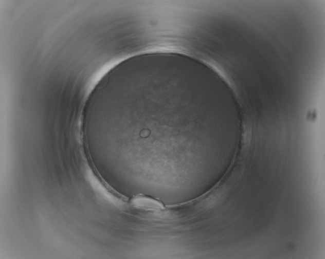 X0000112531468200908311411