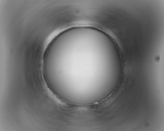 X0000112531472200908311410