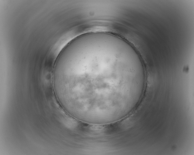 X0000112531473200908311410