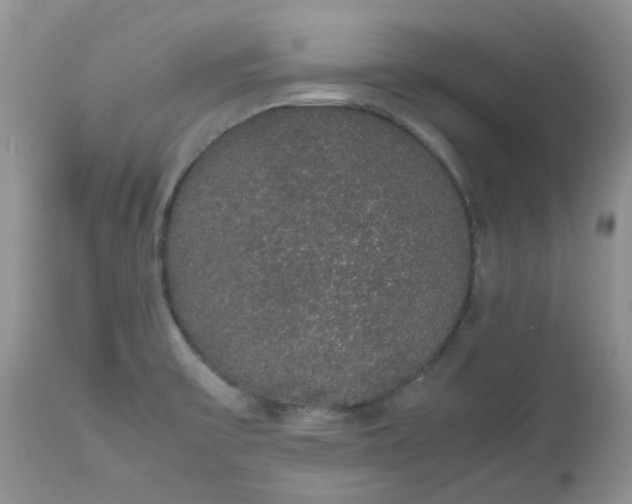X0000112531475200908311410