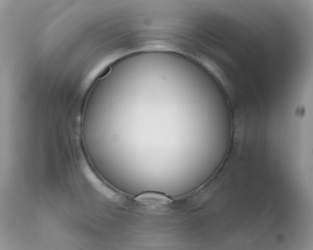 X0000112531476200908311410