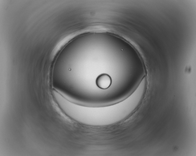 X0000112531477200908311410