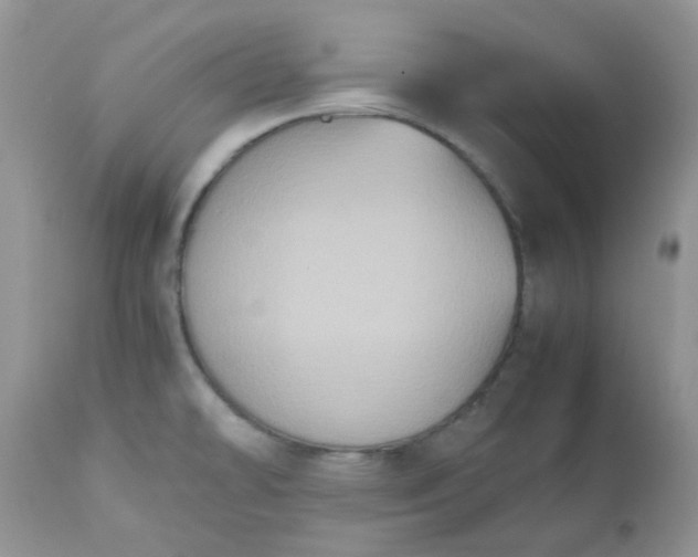 X0000112531478200908311410
