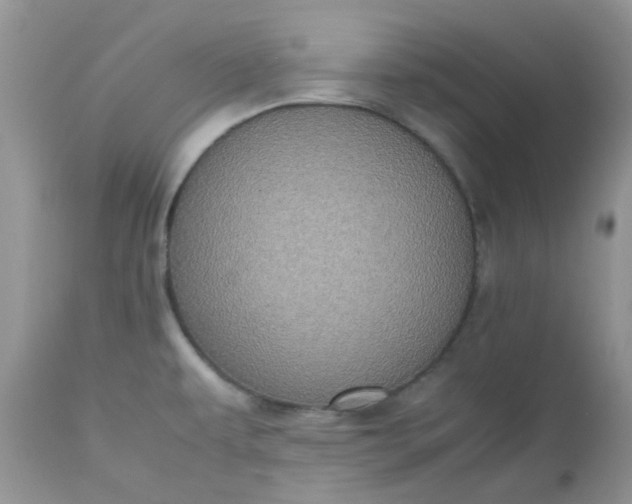 X0000112531479200908311410