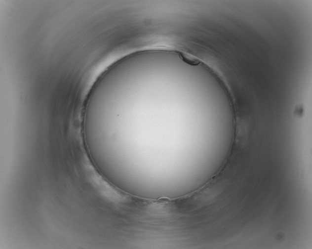 X0000112531480200908311410