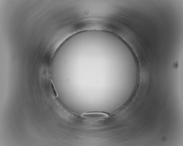 X0000112531481200908311410