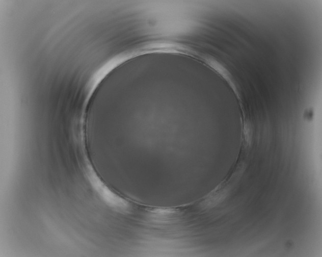 X0000112531482200908311410
