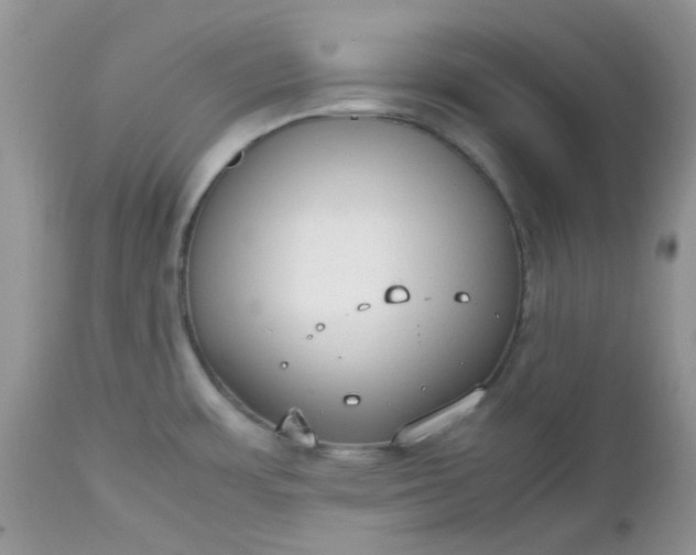 X0000112531483200908311410