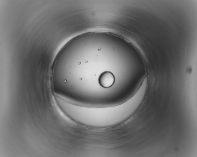 X0000112531484200908311410