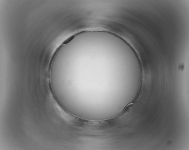 X0000112531485200908311410
