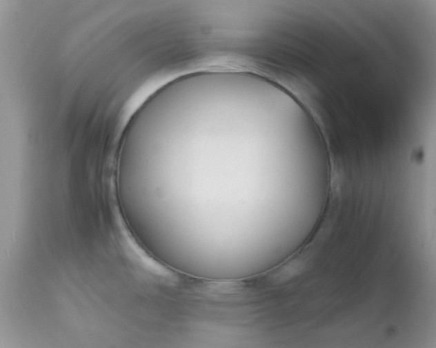 X0000112531486200908311410