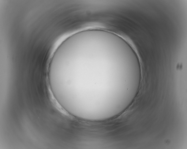 X0000112531488200908311410