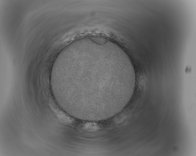 X0000112531489200908311410