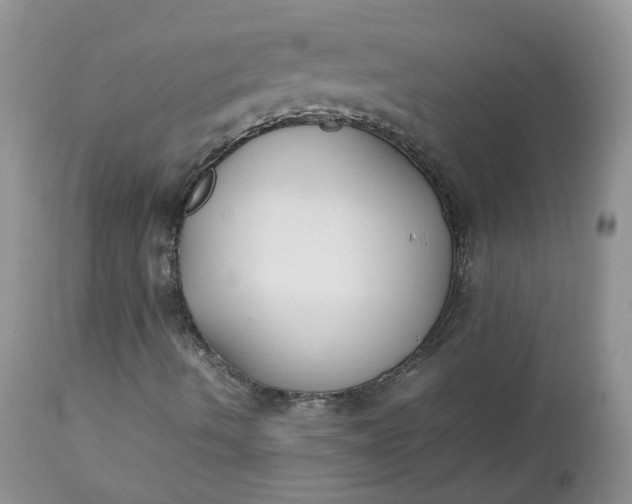 X0000112531490200908311410