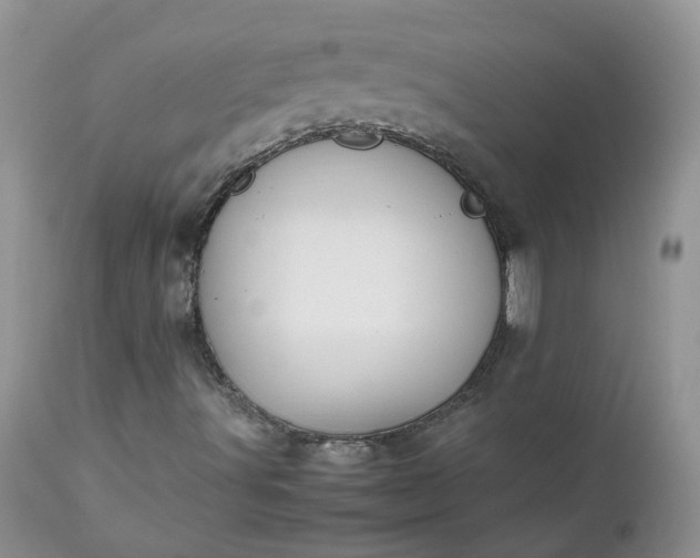 X0000112531491200908311410