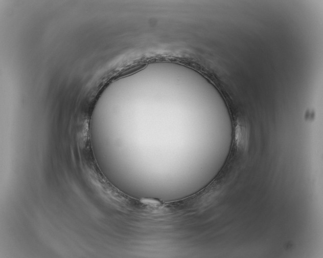 X0000112531492200908311410
