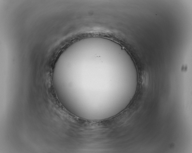 X0000112531493200908311410