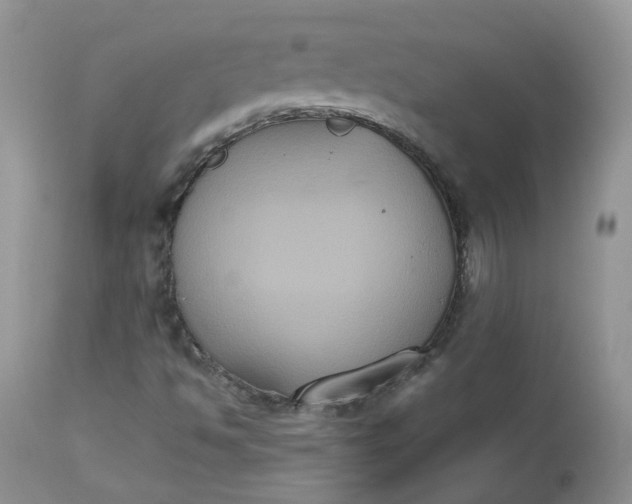 X0000112531494200908311410